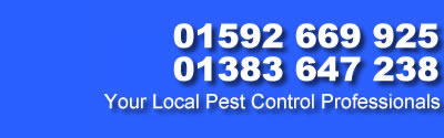 call Pest Control Fife Dunfermline Glenrothes Kirkaldy Kinross on 07591 035 288